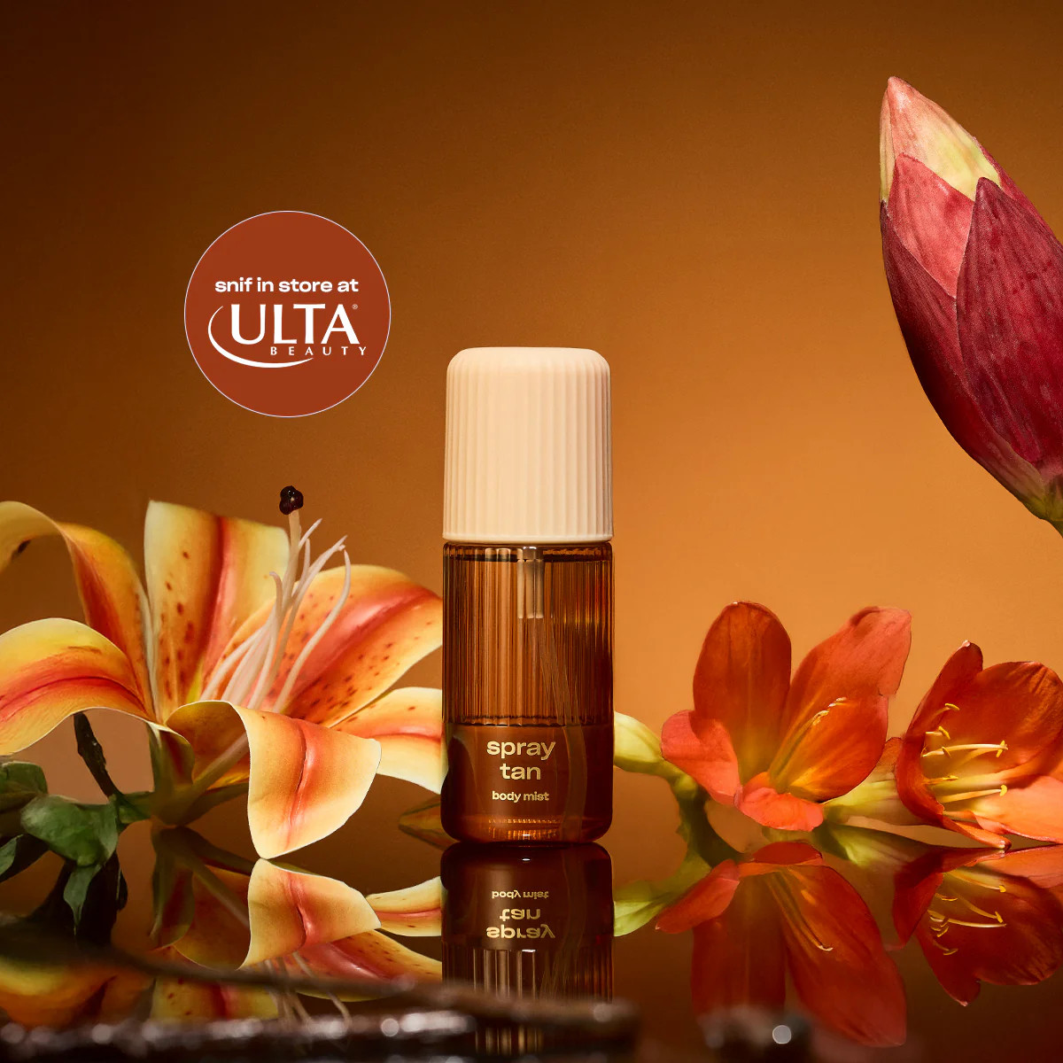 Spray Tan Body Mist | Snif