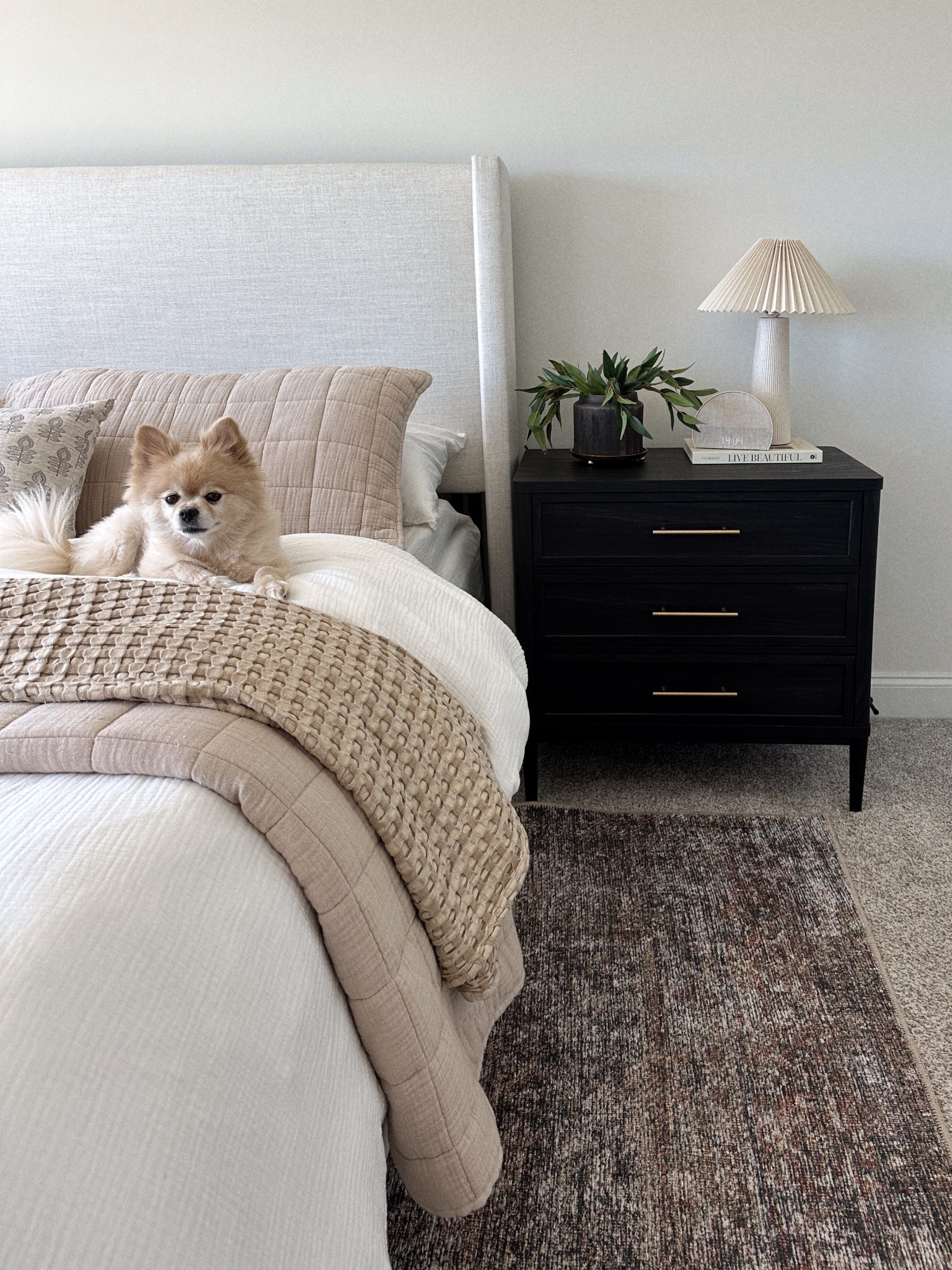 Bedroom decor. Neutral bedding. Black nightstands. Quilt. Loloi rug. Tilly bed

#LTKHome #LTKFindsUnder50 #LTKStyleTip