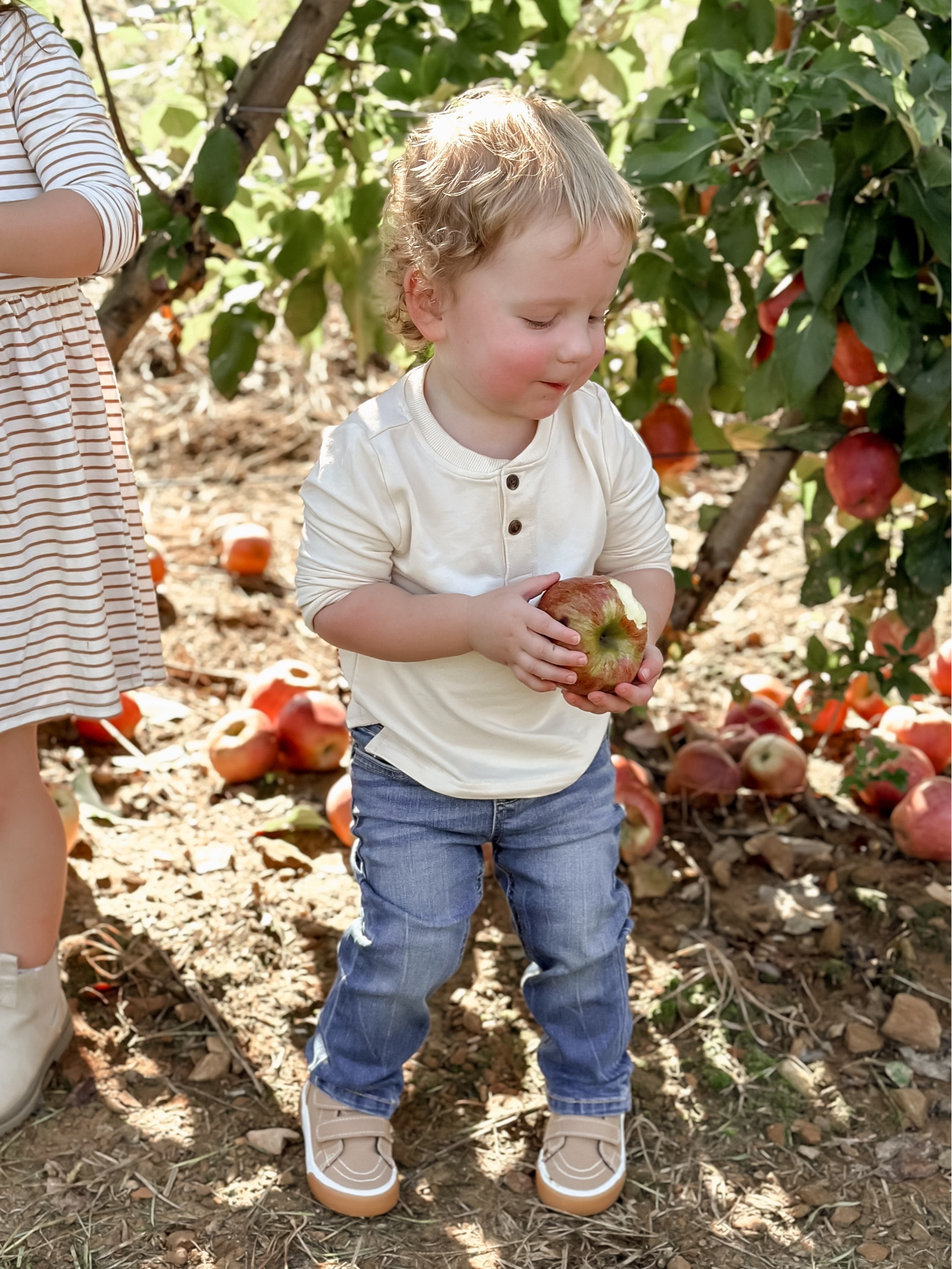 Toddler Boy Fall Outfitts

#LTKKids #LTKBaby #LTKSeasonal