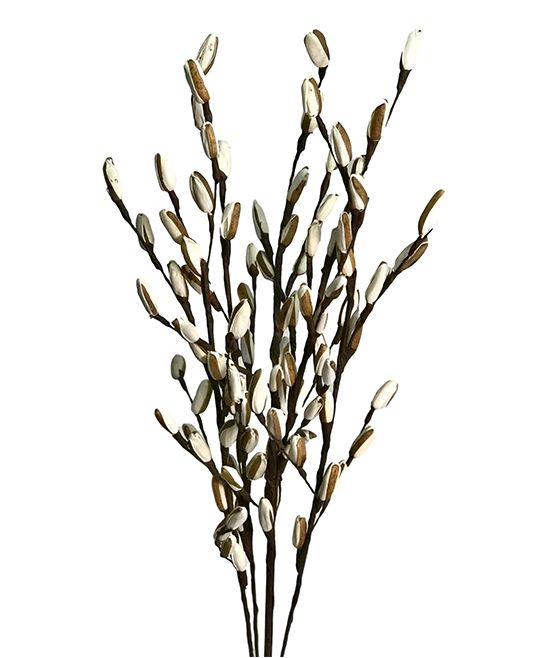 Wilco Floral White/Brown - White & Brown Tips Five-Stem Pear Branch Drop-In Spray | Zulily