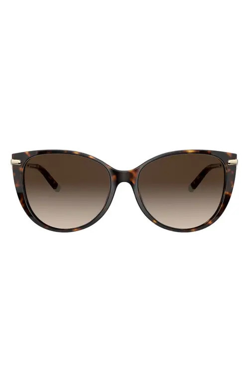 Tiffany & Co. 57mm Gradient Cat Eye Sunglasses in Havana/Brown Gradient at Nordstrom | Nordstrom