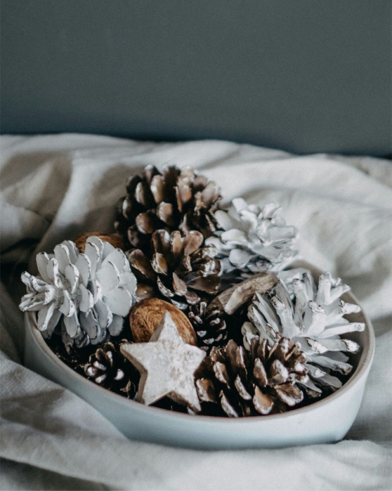 Looking for pine cones as decoration objects this holiday season? Explore various types of pine cones as table decor or ornaments and create a cozy and festive atmosphere. ❤️


#pinecones #pinecone #pineconesdecoration
#christmas #christmastree #christmasdecorating #christmasornaments #christmastreeideas #christmasdecorideas #christmasdecorating #christmastreeornaments
#christmastreedecorideas
#christmasdecor #christmassnowflake#LTKHoliday 

#LTKFindsUnder50 #LTKHome