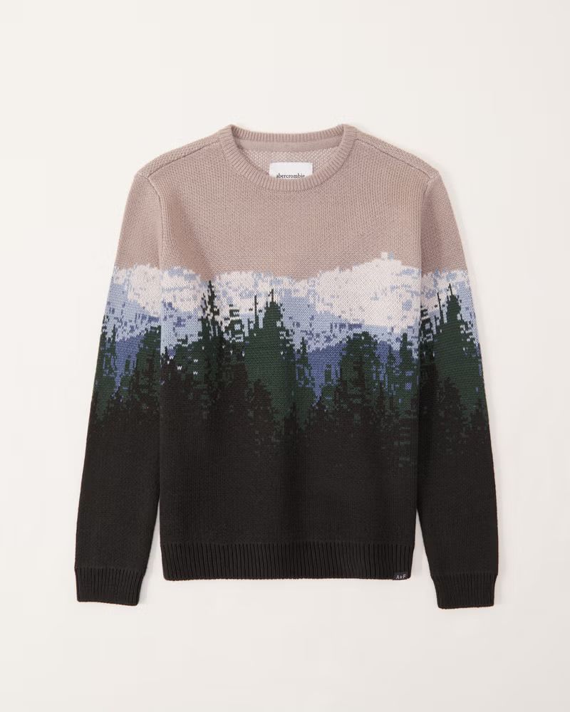 abercrombie kids boys scenic crewneck sweater in scenic pattern - size 9/10 | Abercrombie & Fitch (US)