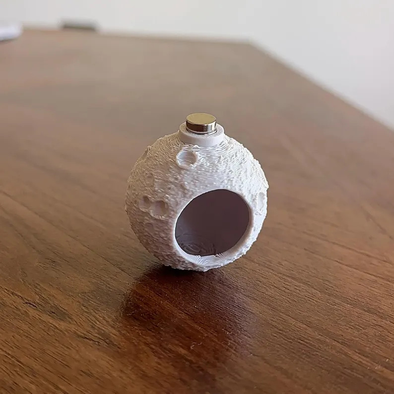 Magnetic Moon Hide for Jumping Spider Enclosures | Etsy (Global)