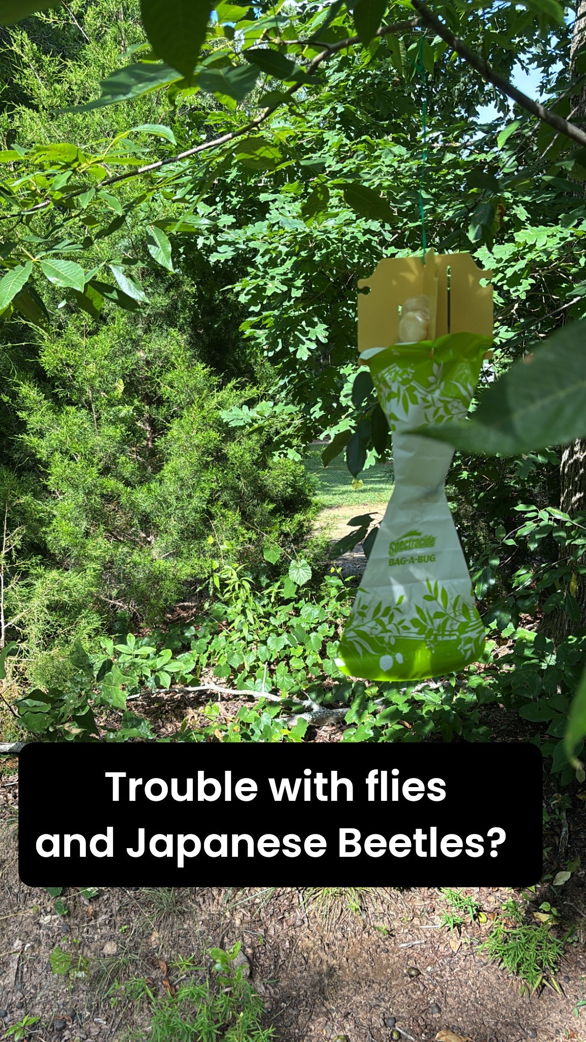 I have just the fix! These 2 products have worked great! 

#LTKHome #LTKSeasonal