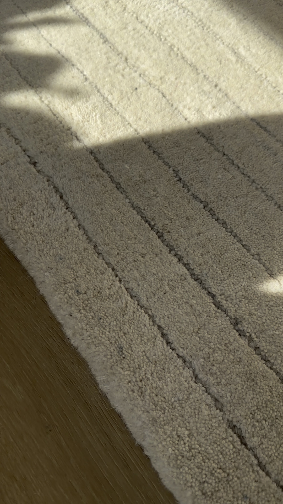 Nothing better than a thick and lush rug on a chilly day. 
Loloi and wayfair


#LTKWatchNow #LTKSaleAlert #LTKHome