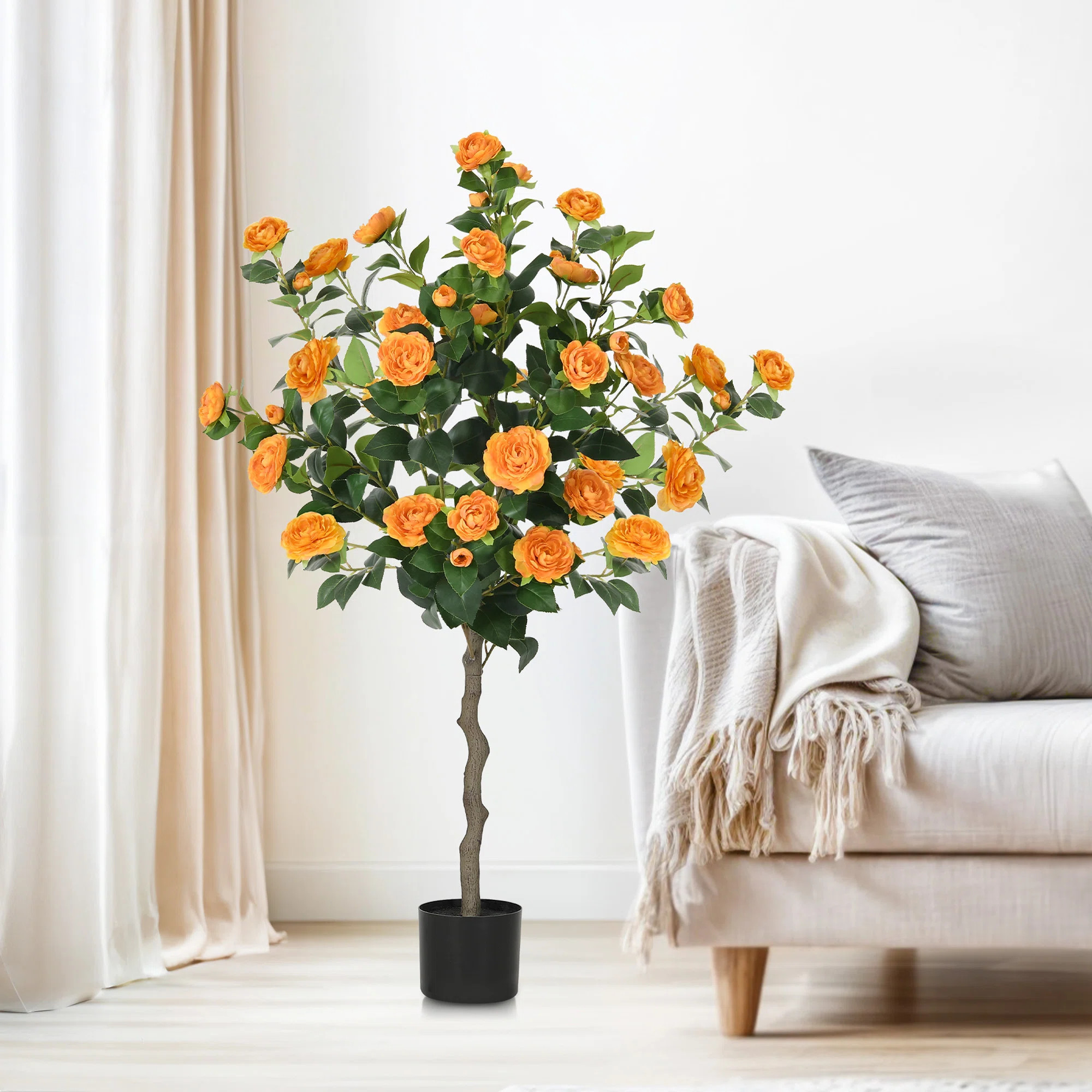 Primrue 49.2 Camellia Tree Plant & Reviews | Wayfair | Wayfair North America