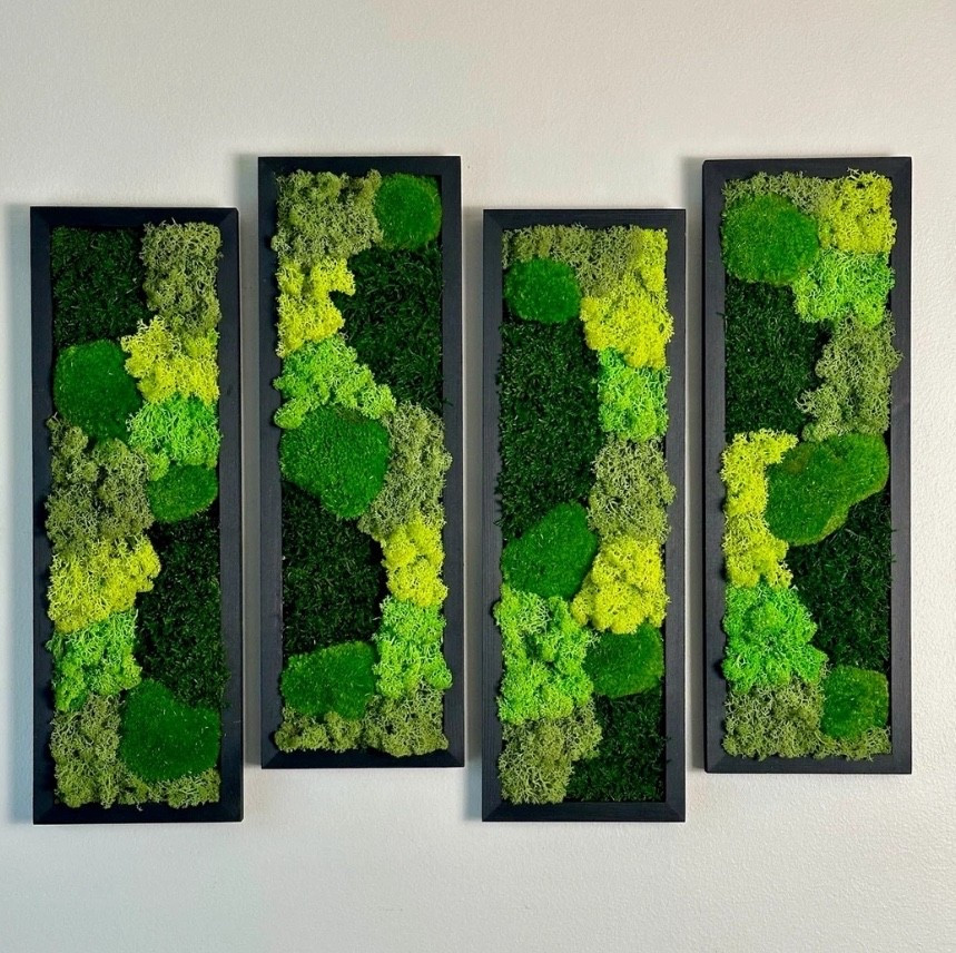 So in love with these live moss wall art pieces that add a great personal touch to your home or office. So many great options from Etsy linked here! 
.
.
.
.

greenery serene serenity yoga home decor wellness  live wall moss art decorations home decor nature meditation zen

#LTKcanada #LTKfitness #LTKhome