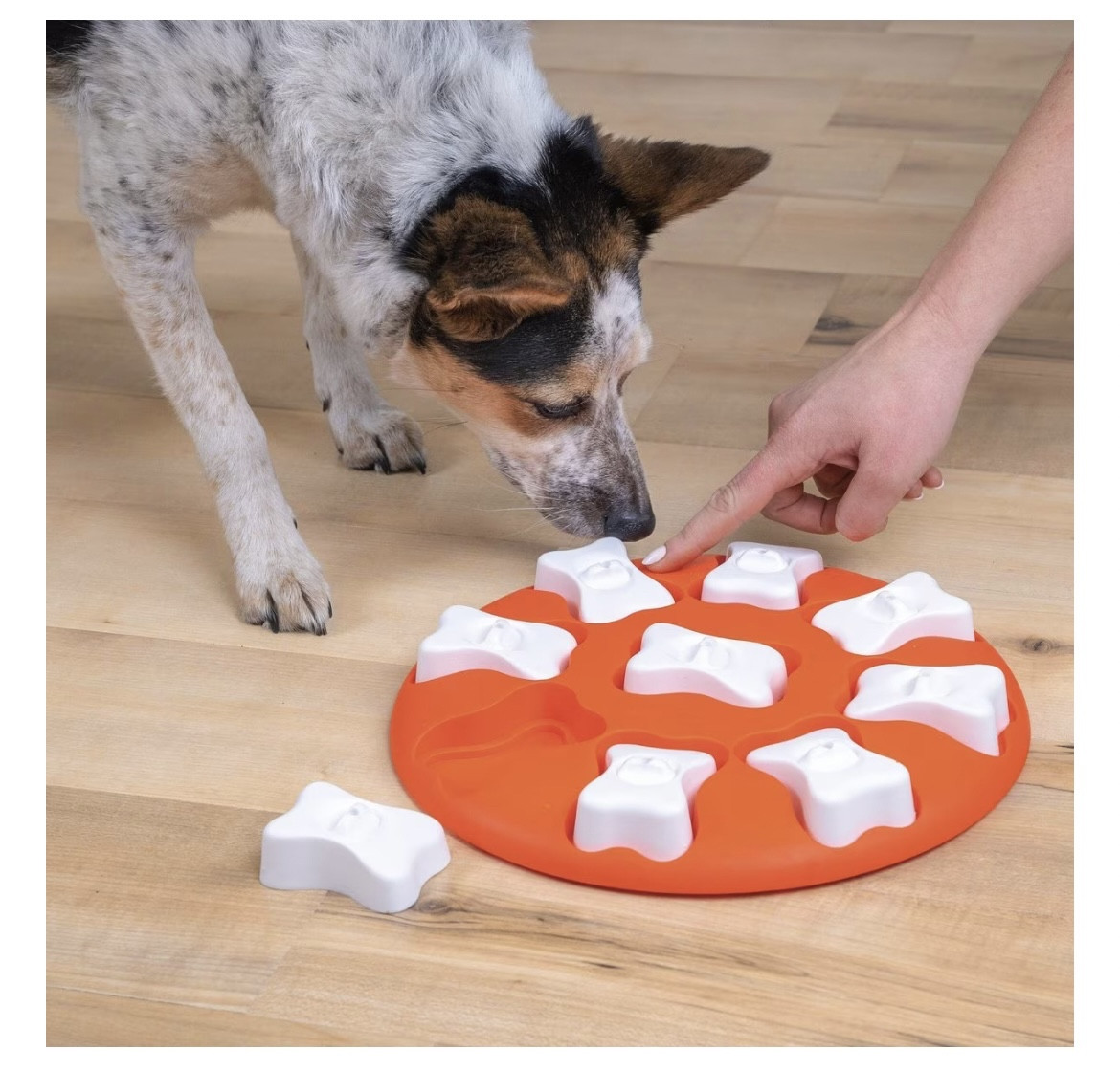 The fun treat puzzle game your pooch will say, “Thank you!”.



#LTKGiftGuide #LTKHoliday #LTKSeasonal