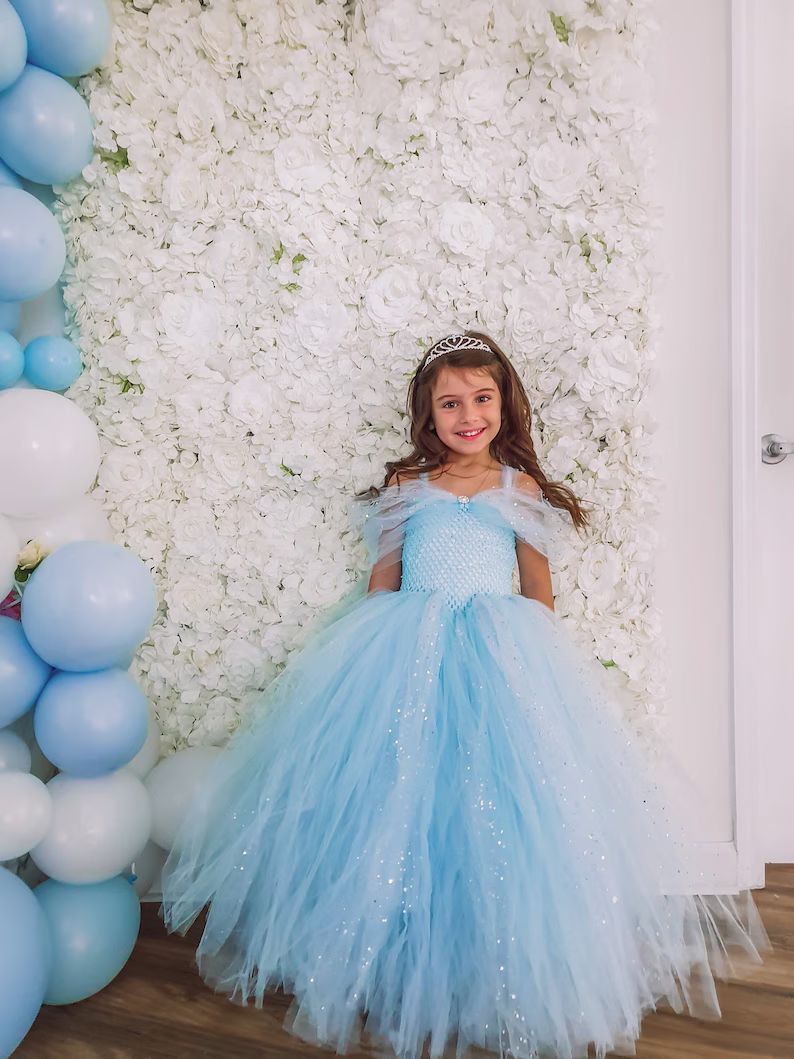 Girl Toddler Cinderella Blue Birthday Photoshoot Flower Girl - Etsy | Etsy (US)