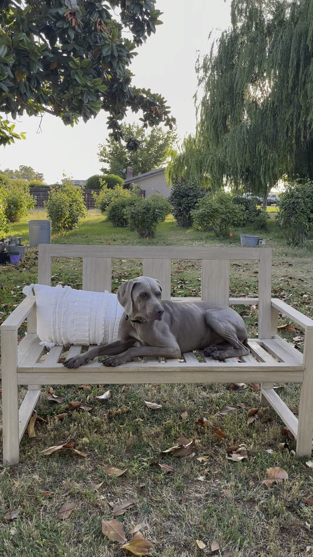 Trending outdoor bench. Trending outdoor furniture. Target decor. Target finds. Pottery Barn sale. Pottery Barn outdoor furniture sale. Threshold pillow. Trending lumbar pillow. Modern outdoor furniture. Pottery Barn finds. ❤️

#LTKHome #LTKSaleAlert #LTKFindsUnder50