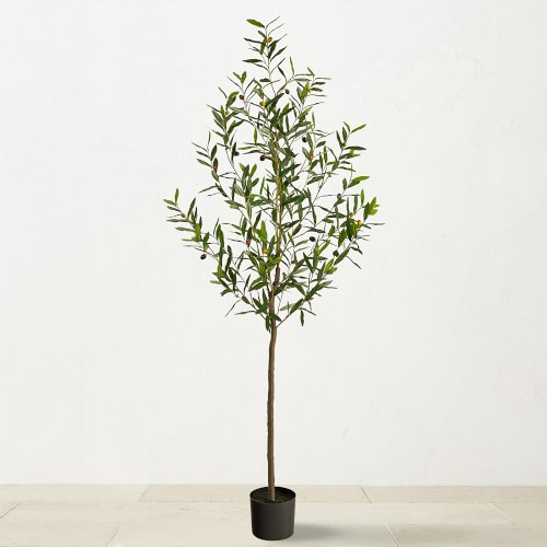 6' Faux Indoor Olive Tree | Williams-Sonoma