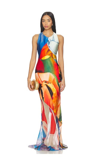 Salpicon Long Silk Dress | Revolve Clothing (Global)