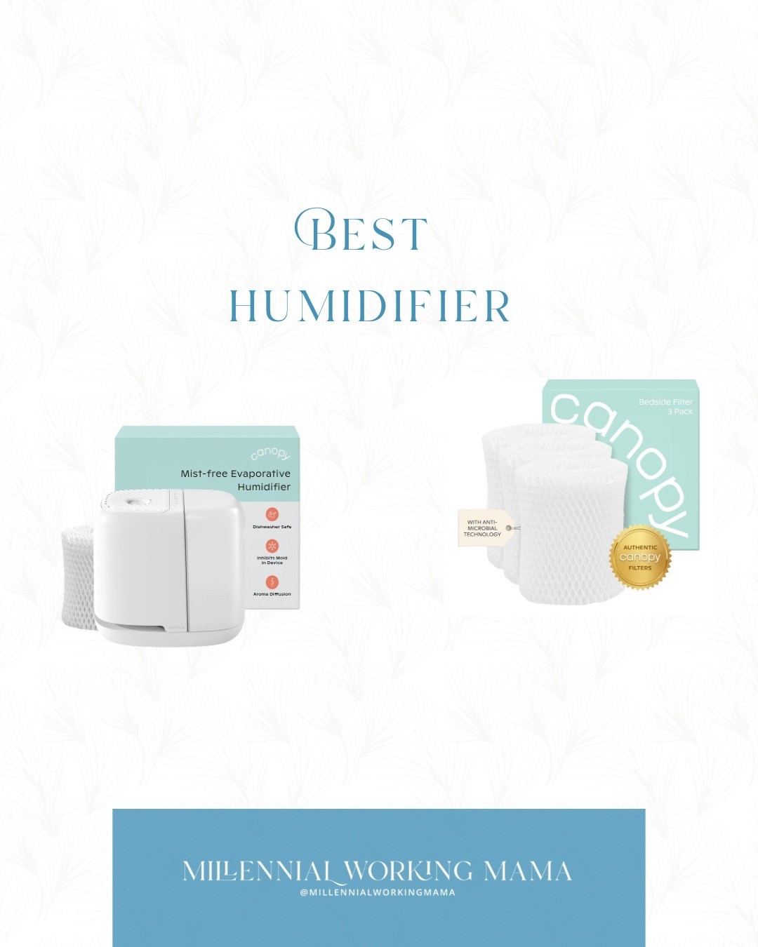 Non mold humidifier 