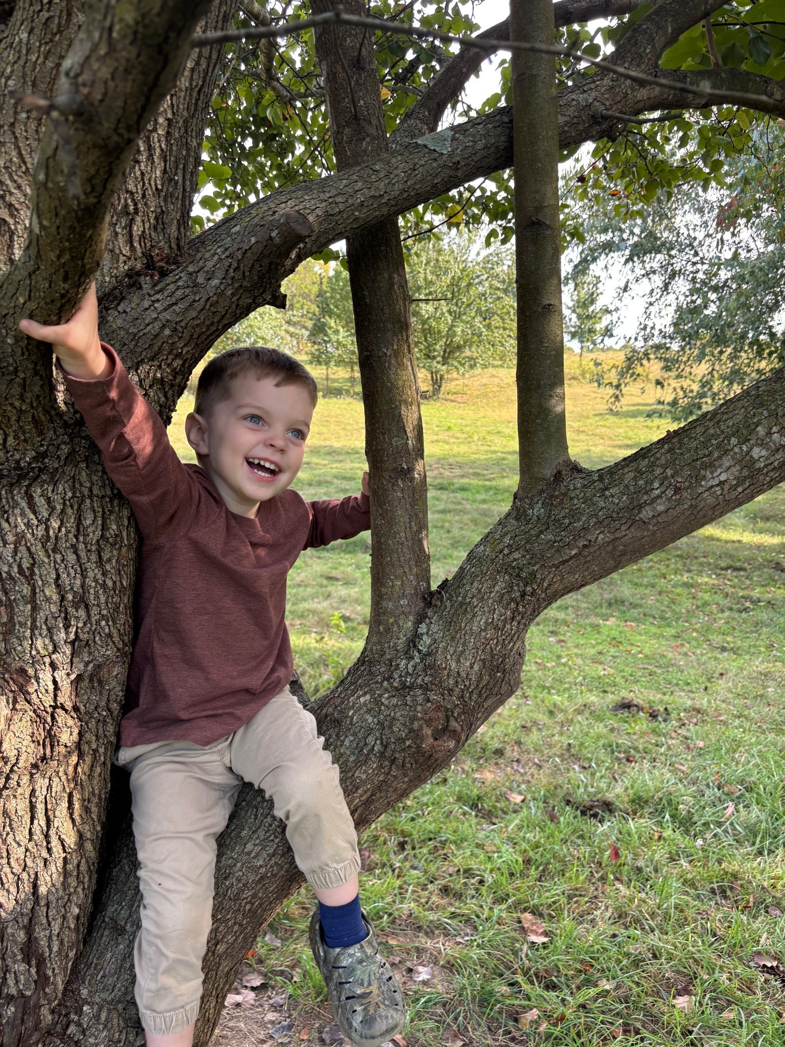 #LTKFamily #LTKBaby #LTKKids