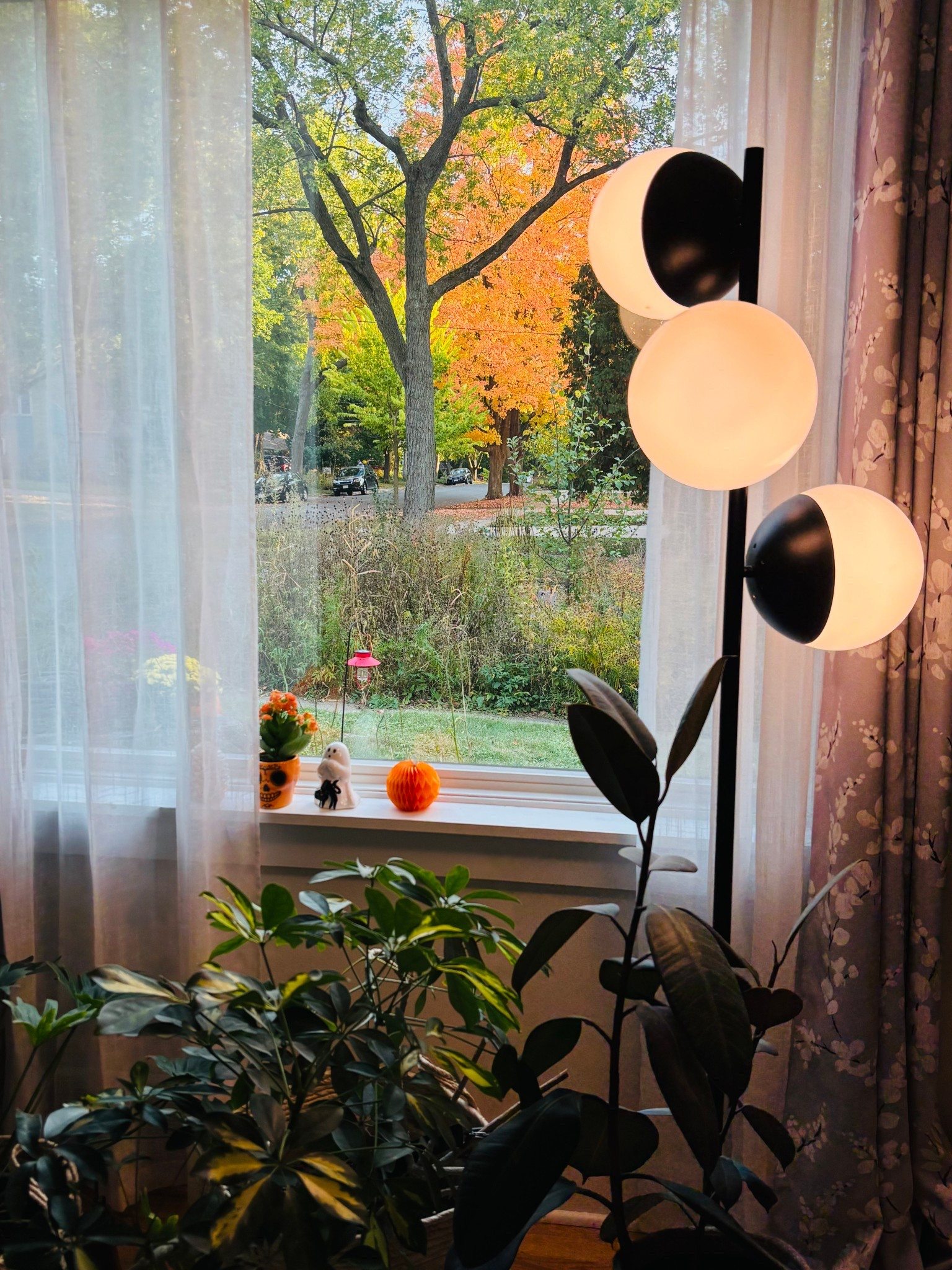 Fall views from my house! Love this globe floor lamp! #homedecor #wayfairfinds

#LTKHalloween #LTKSeasonal #LTKHome