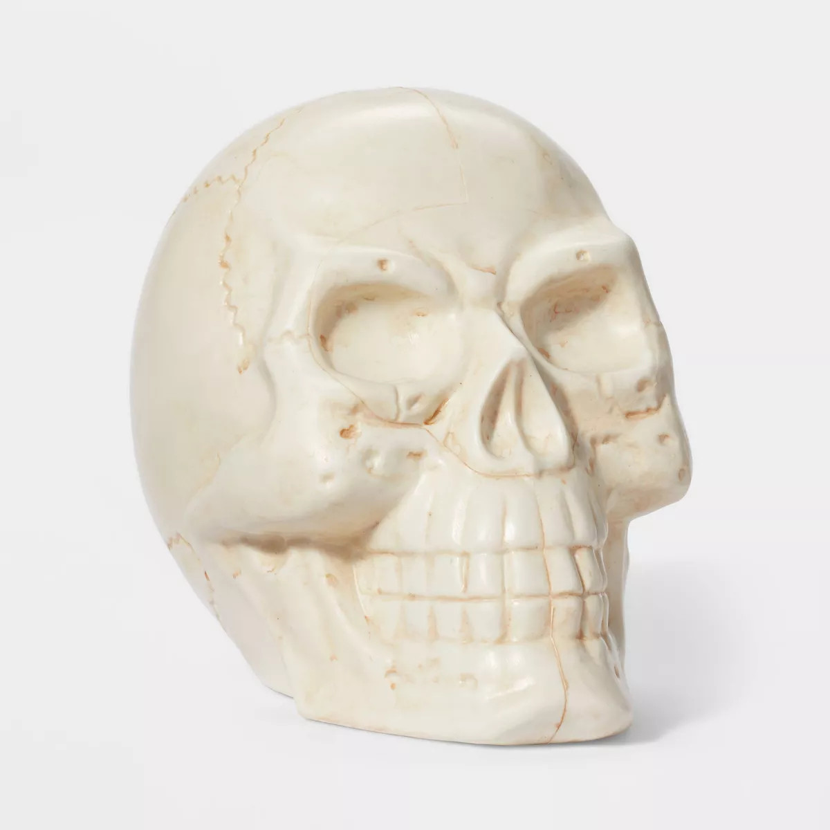 Plastic Cream Skull Halloween Decorative Sculpture - Hyde & EEK! Boutique™ | Target