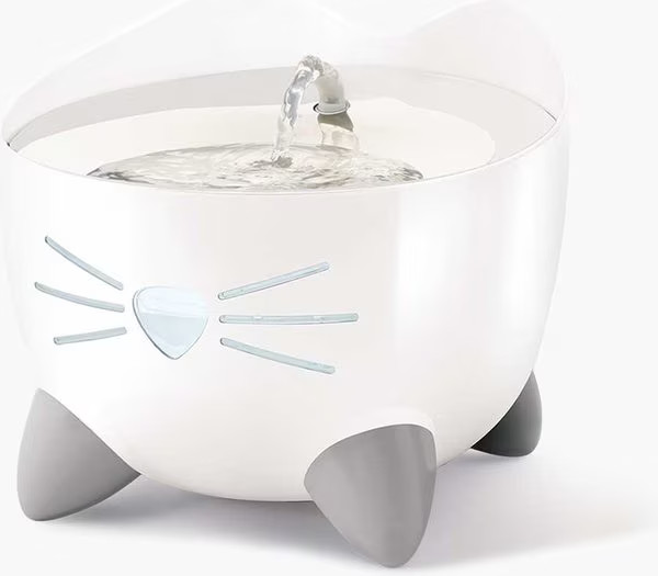 Catit Pixi Cat Drinking Fountain | Chewy Canada