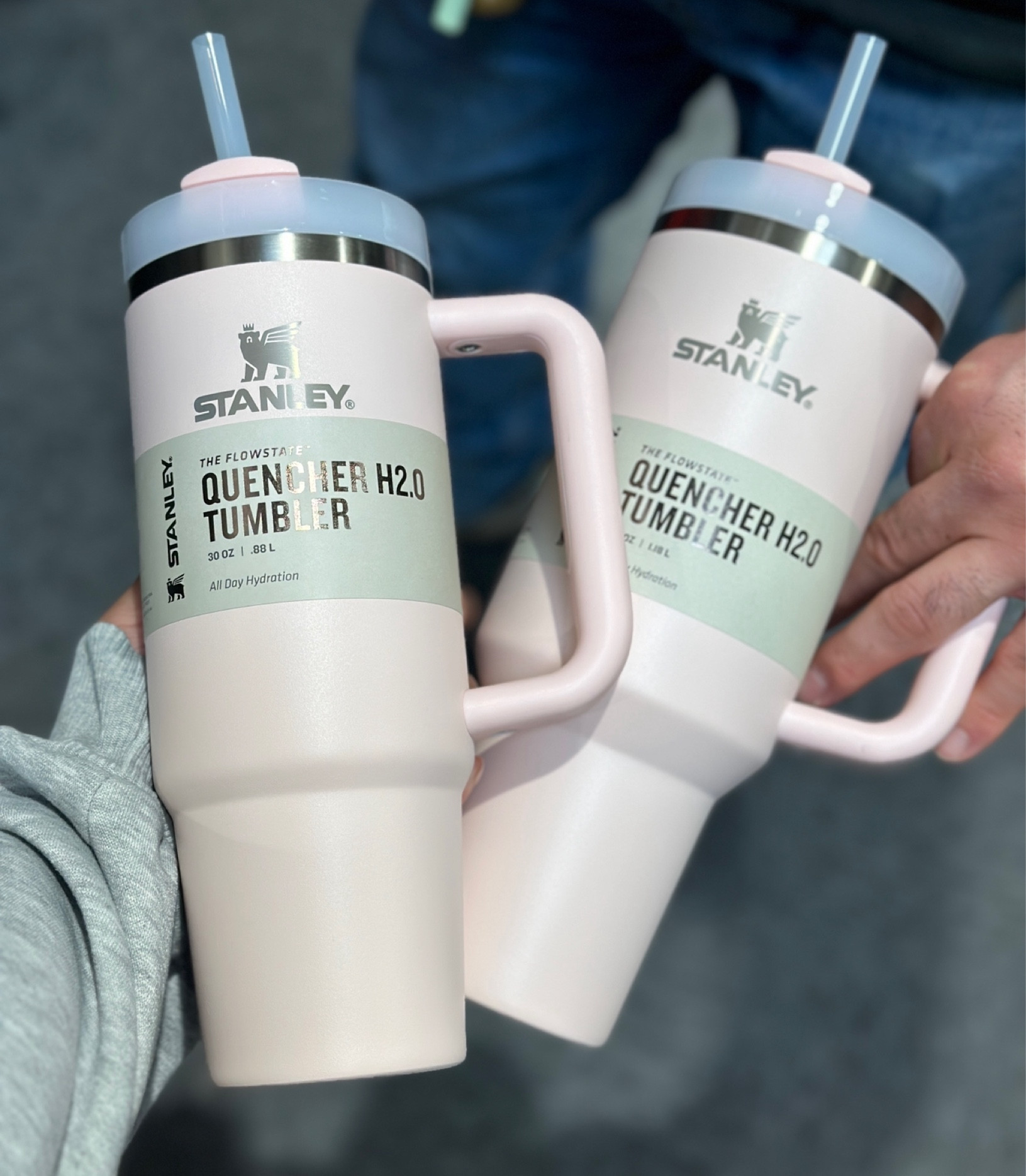 New Pastel Stanley tumblers! 

#LTKSeasonal #LTKGiftGuide #LTKVideo