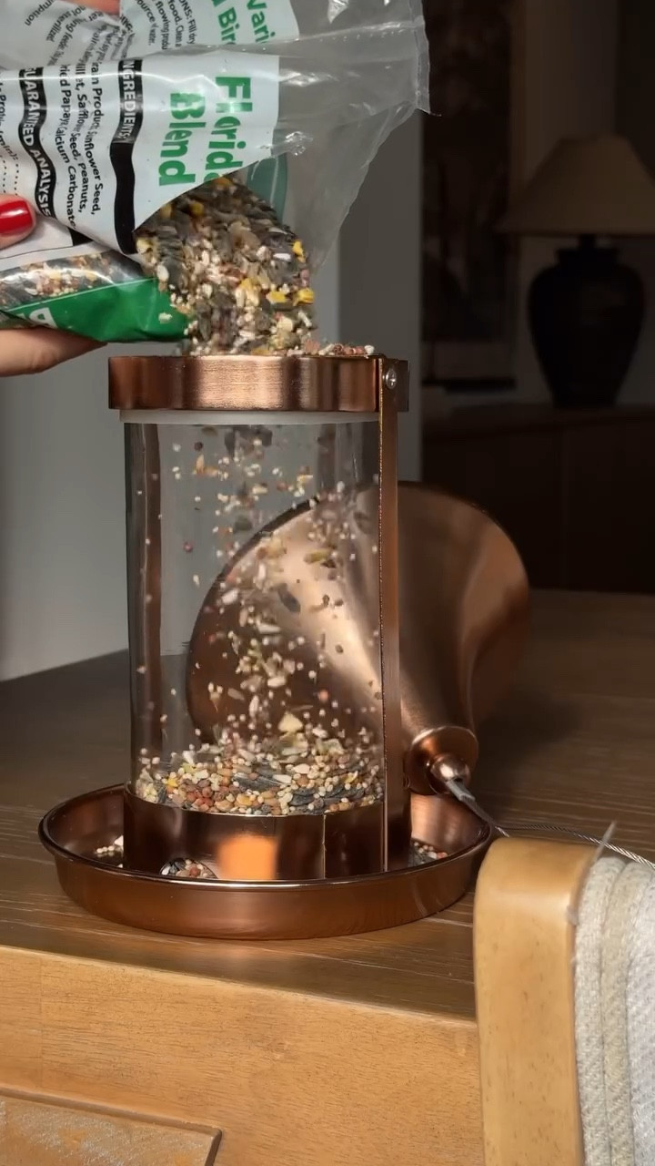 Am I in my bird watching era? 🦜