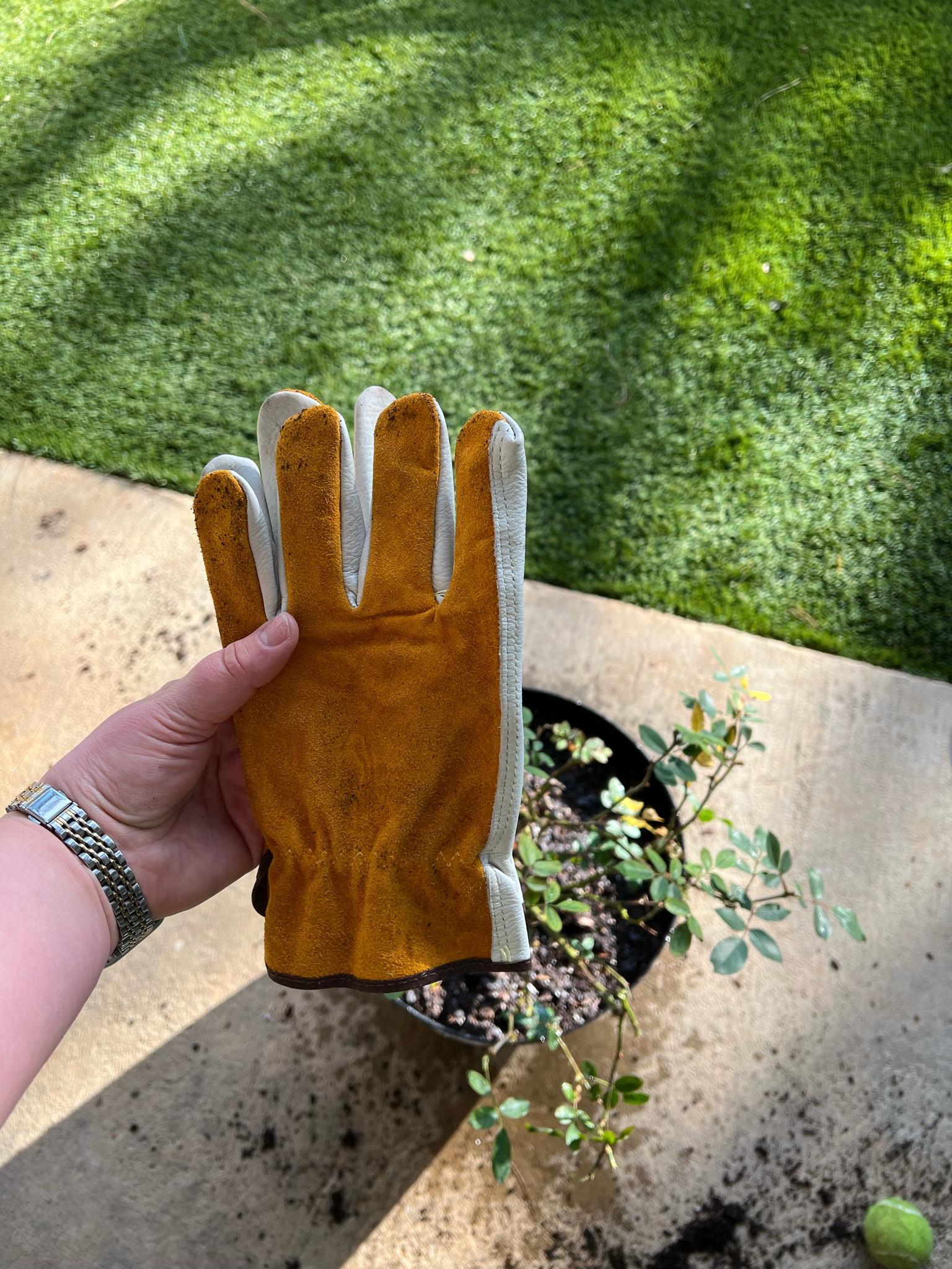 Garden gloves🪴

Blessed to find such a deal with these garden gloves! Perfect for all things outdoors!!

#LTKworkwear #LTKhome