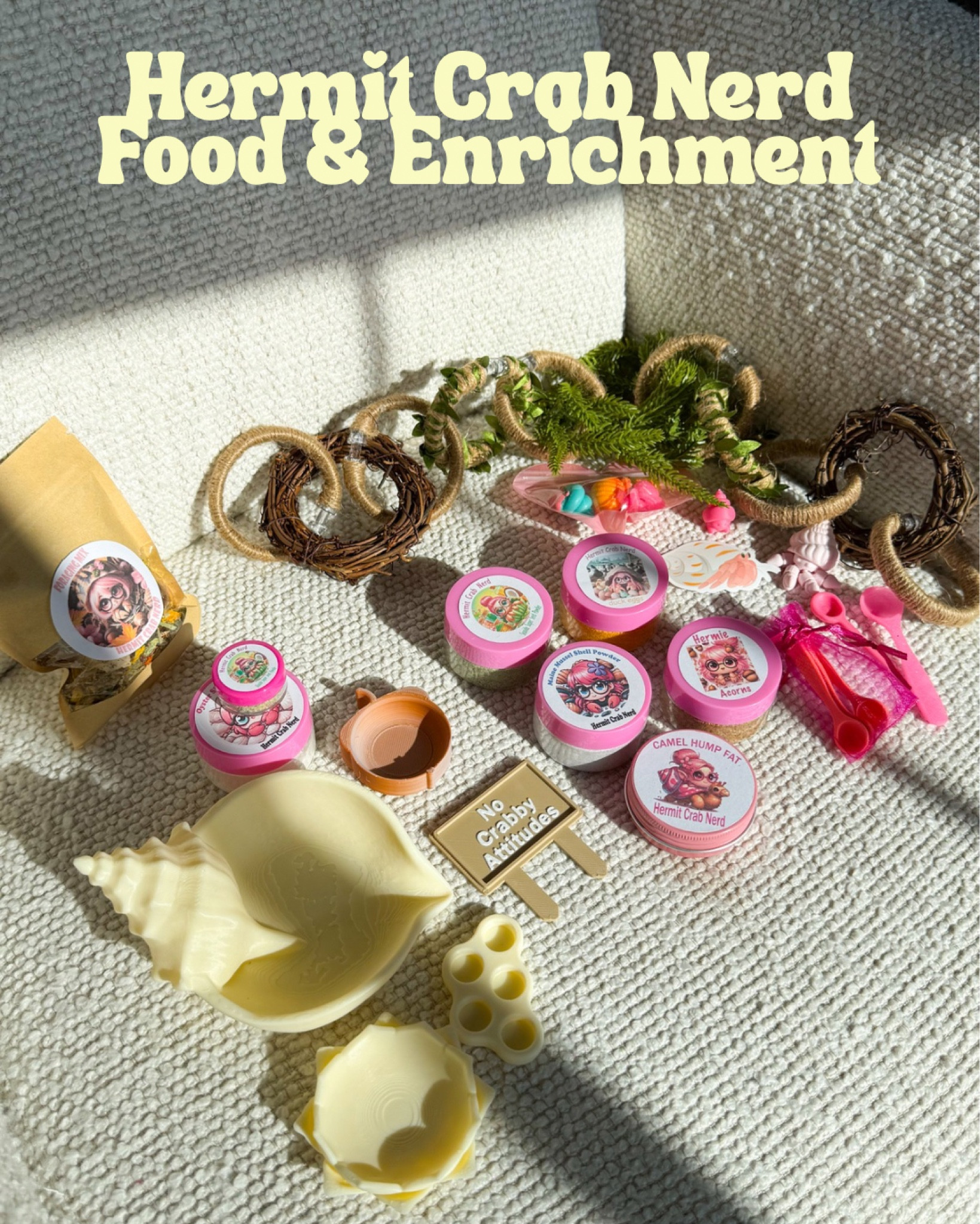 Hermit Crab Nerd food and enrichment