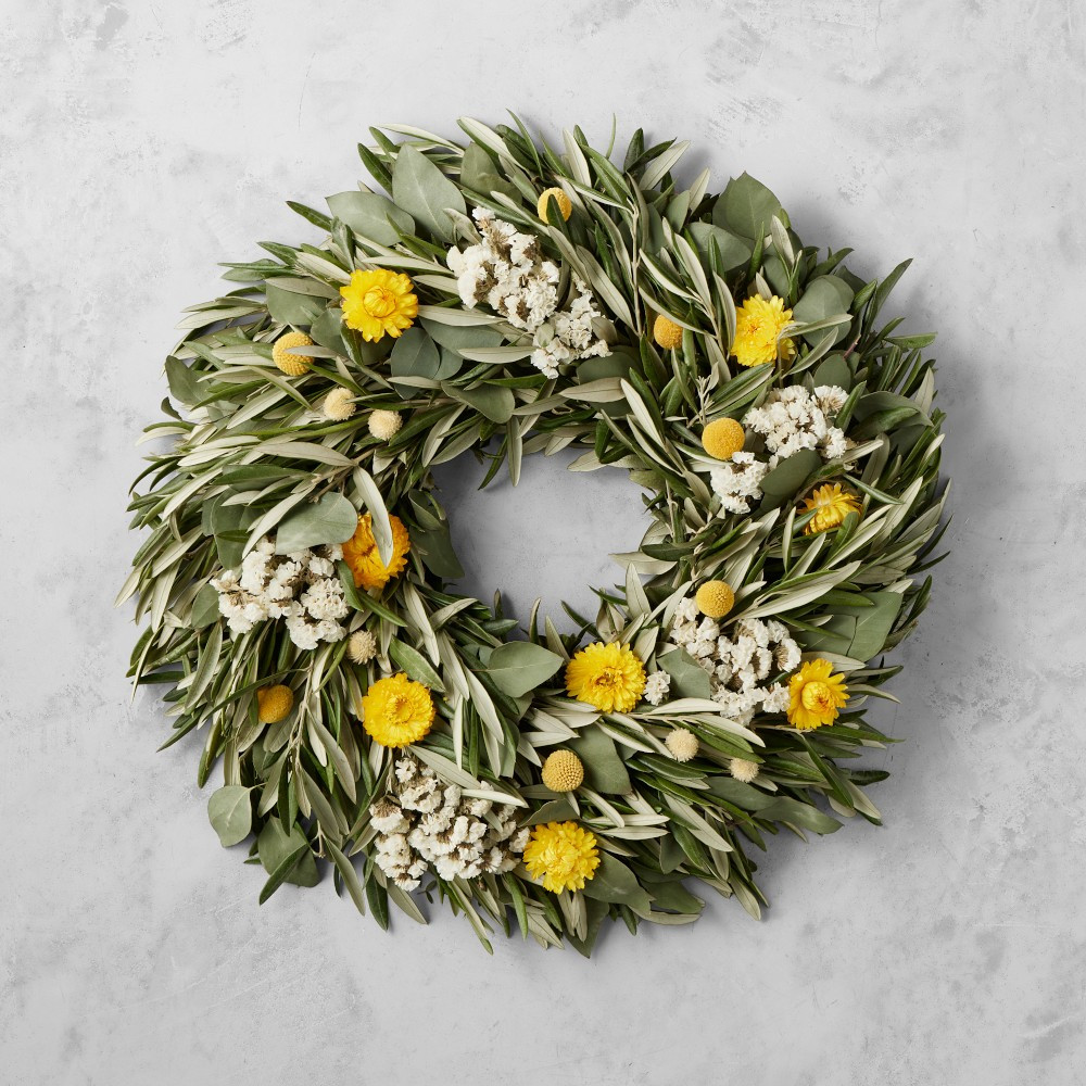Olive Billy Button Live Wreath & Garland | Williams-Sonoma