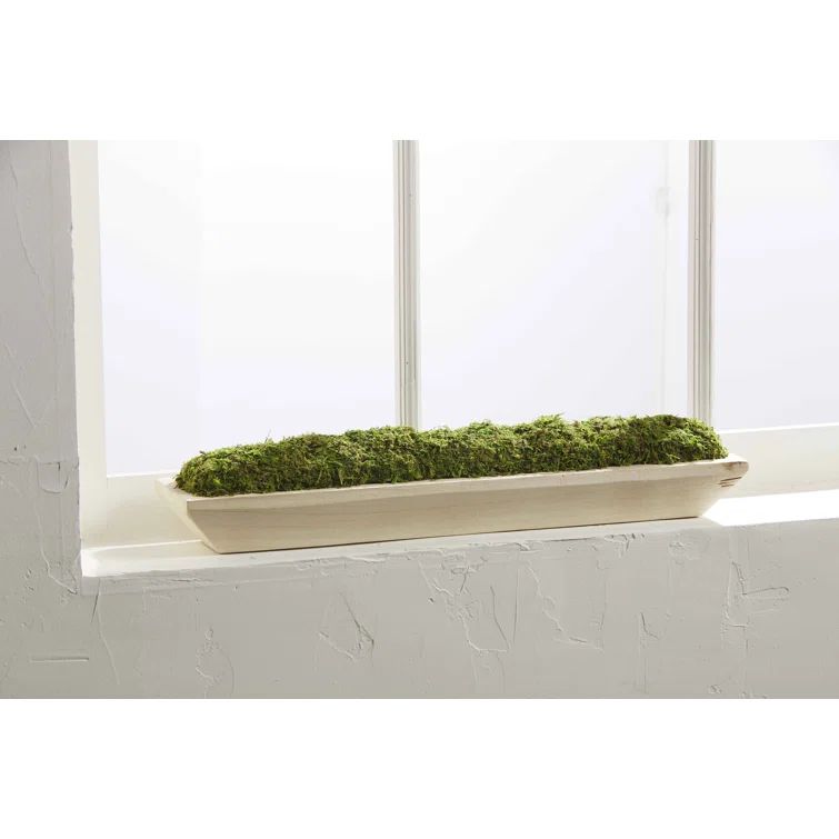 CLASSIC HOME Moss Topiary in Pot | Wayfair North America