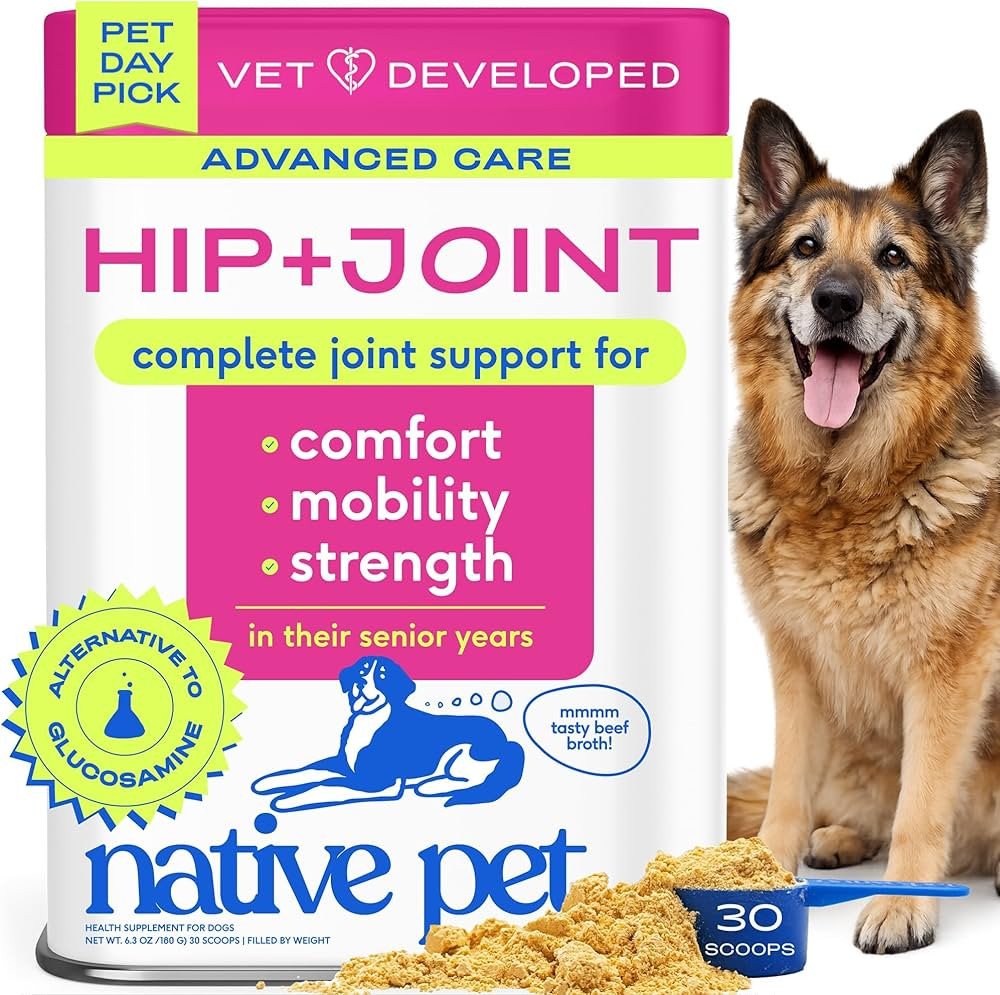 Amazon.com : Native Pet Hip & Joint Advanced Care Dog Joint Supplement Powder for Mobility & Move... | Amazon (US)
