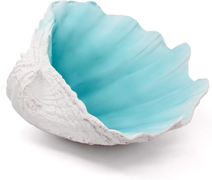 Large Turquoise-Aqua blue Sea Shells Decorative Bowl Resin Clam Shell Bowl Beach Decorations for ... | Amazon (US)