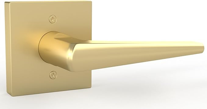 Mega Handles Dummy I Lever Door Lock Handle Set for Closet or French Doors I Single Side, Non-Tur... | Amazon (US)