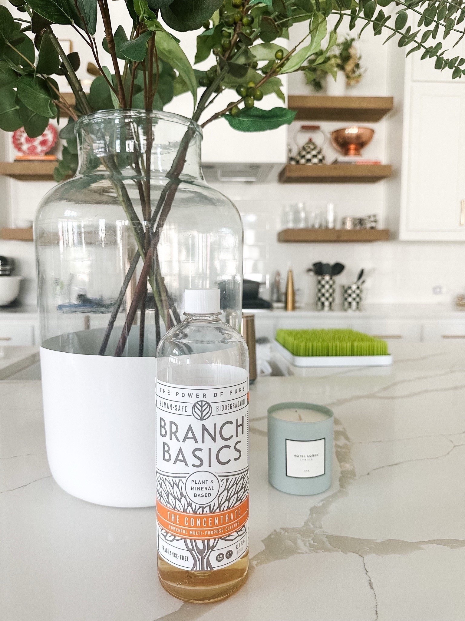 We’ve been using the concentrate to clean our home and we love it! Cleans practically everything. Non toxic and safe to use. We’ve mainly used it to clean our hardwood floors and surfaces  

#LTKHome #LTKStyleTip