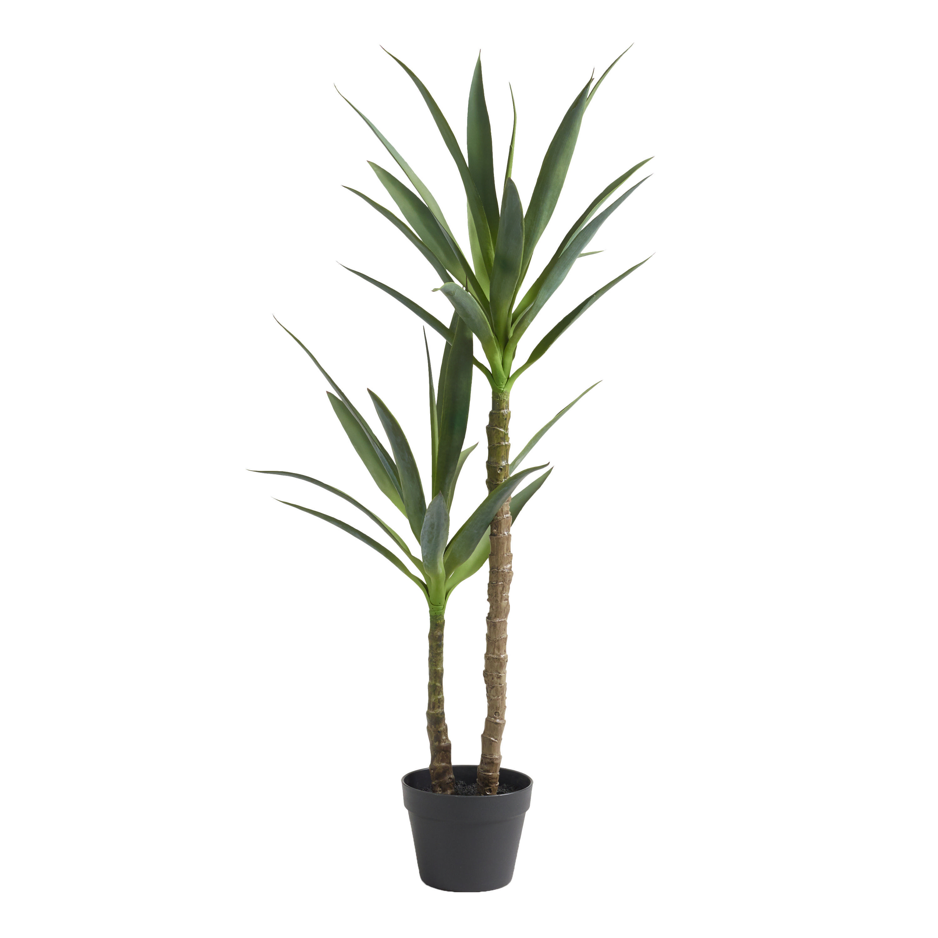 Faux Double Yucca Tree | World Market