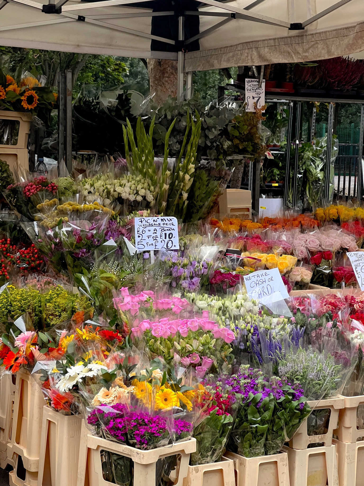 some fave beauty bits 

#LTKbeauty #LTKgiftguide