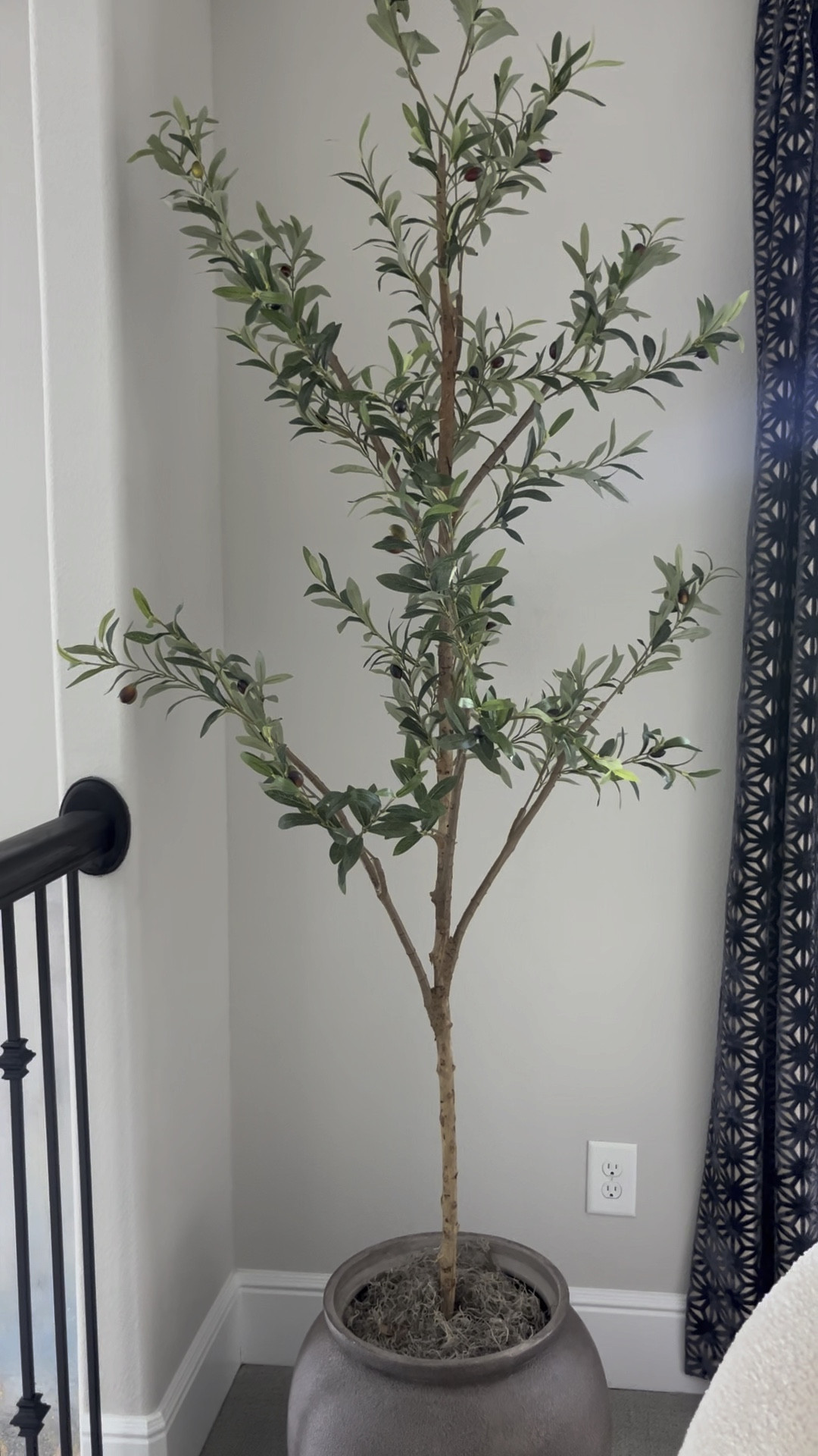 Nearly natural olive tree is on sale! 
Walmart, Walmart home, olive tree, faux tree 

#LTKhome #LTKfindsunder100 #LTKGiftGuide
