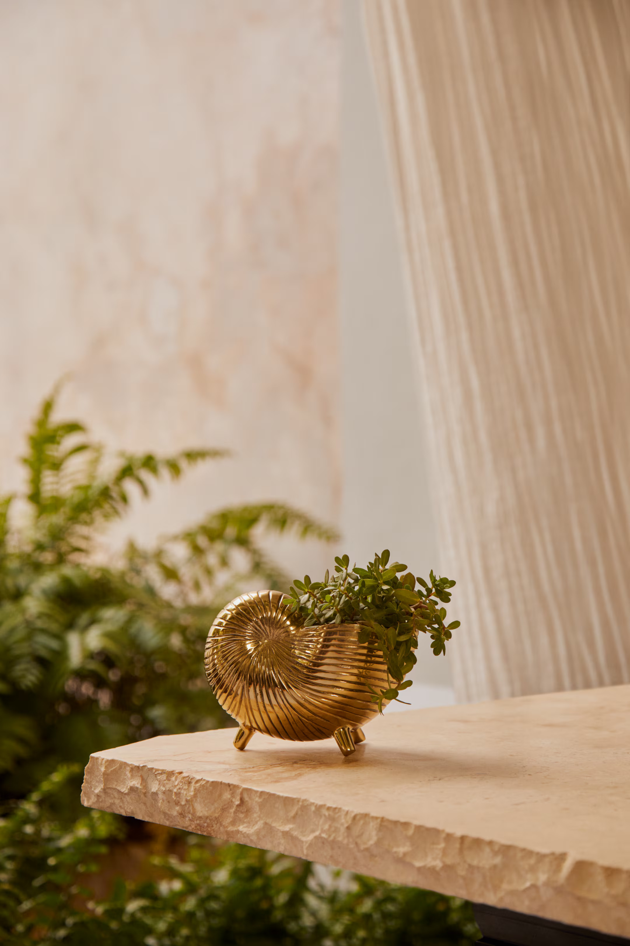 Shell-shaped Plant Pot - Gold-colored - Home All | H&M US | H&M (US + CA)