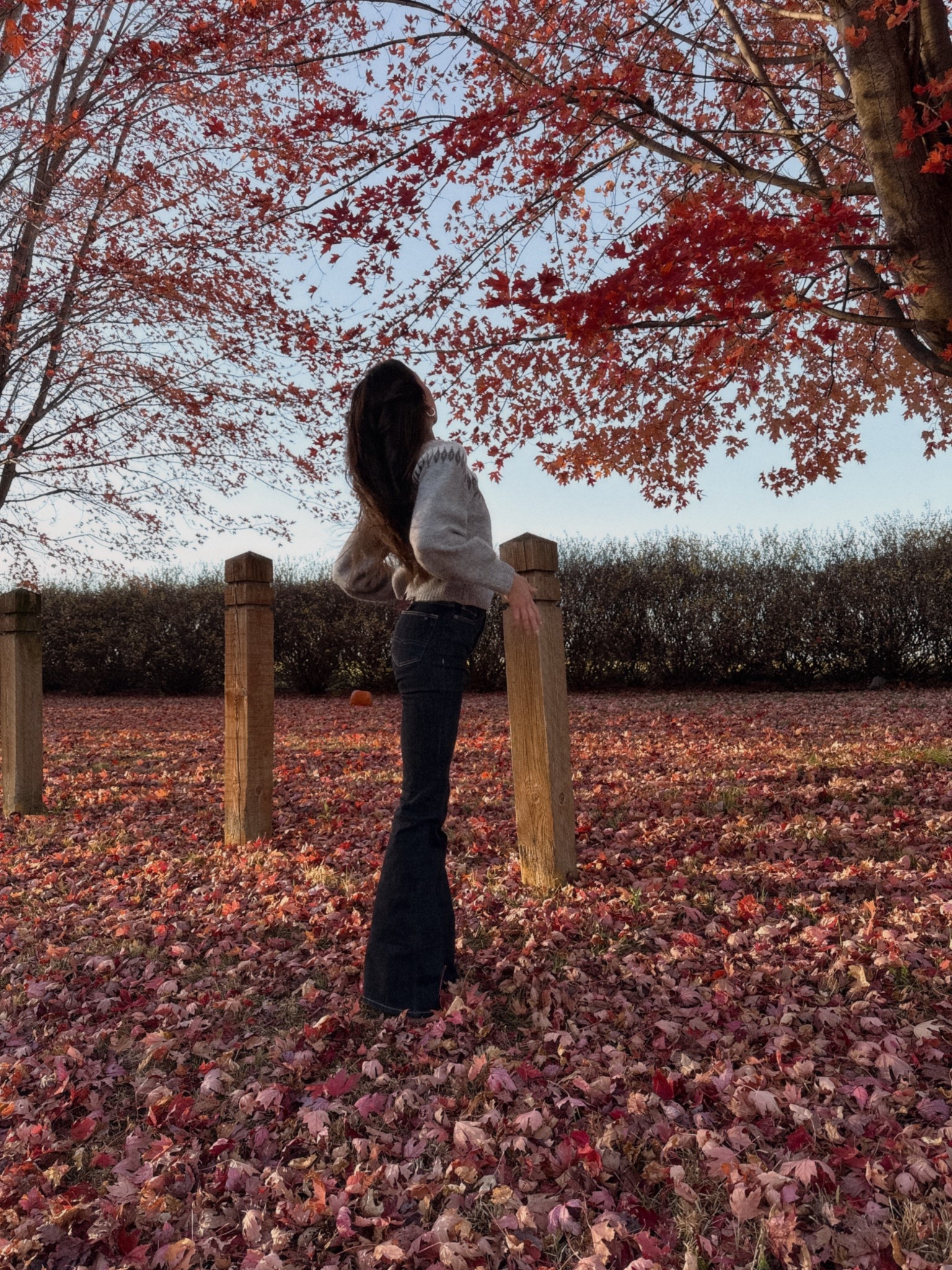 Jeans, sweater, fall outfit, flare jeans

#LTKSeasonal #LTKStyleTip #LTKFindsUnder50