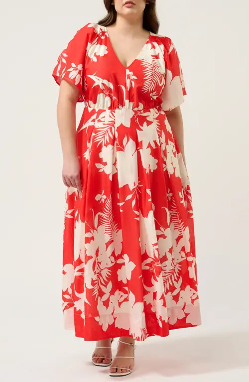 Estelle Solstice Floral Print Maxi Dress in Poppy Red/Cream at Nordstrom, Size 18W | Nordstrom