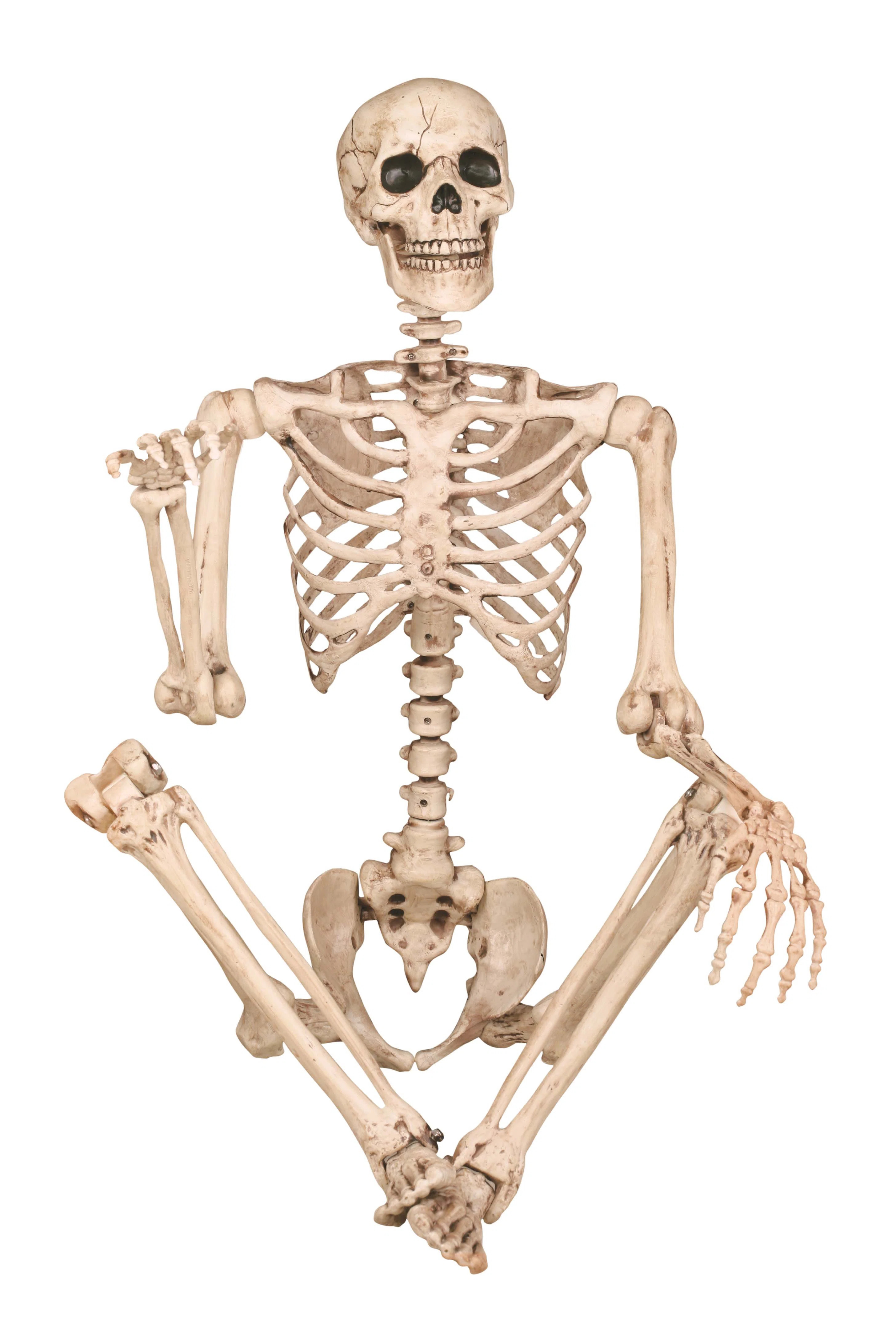 Pose-N-Stay Skeleton | Birch Lane