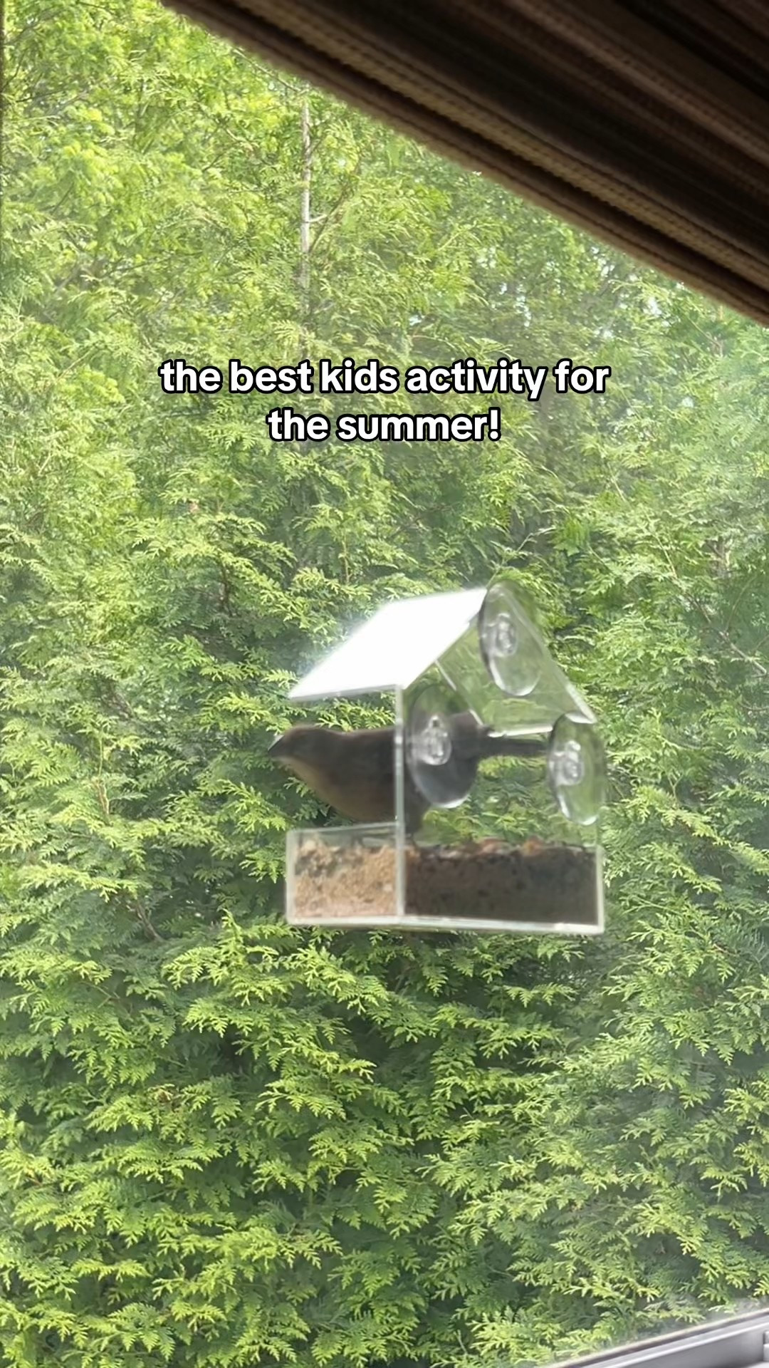 Best window feeder - my toddler loves it! 

#LTKKids #LTKFindsUnder50 #LTKSummerEdit