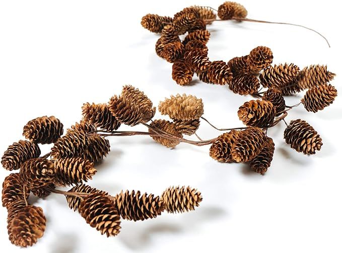 CraftMore Pinecone Garland 5' | Amazon (US)