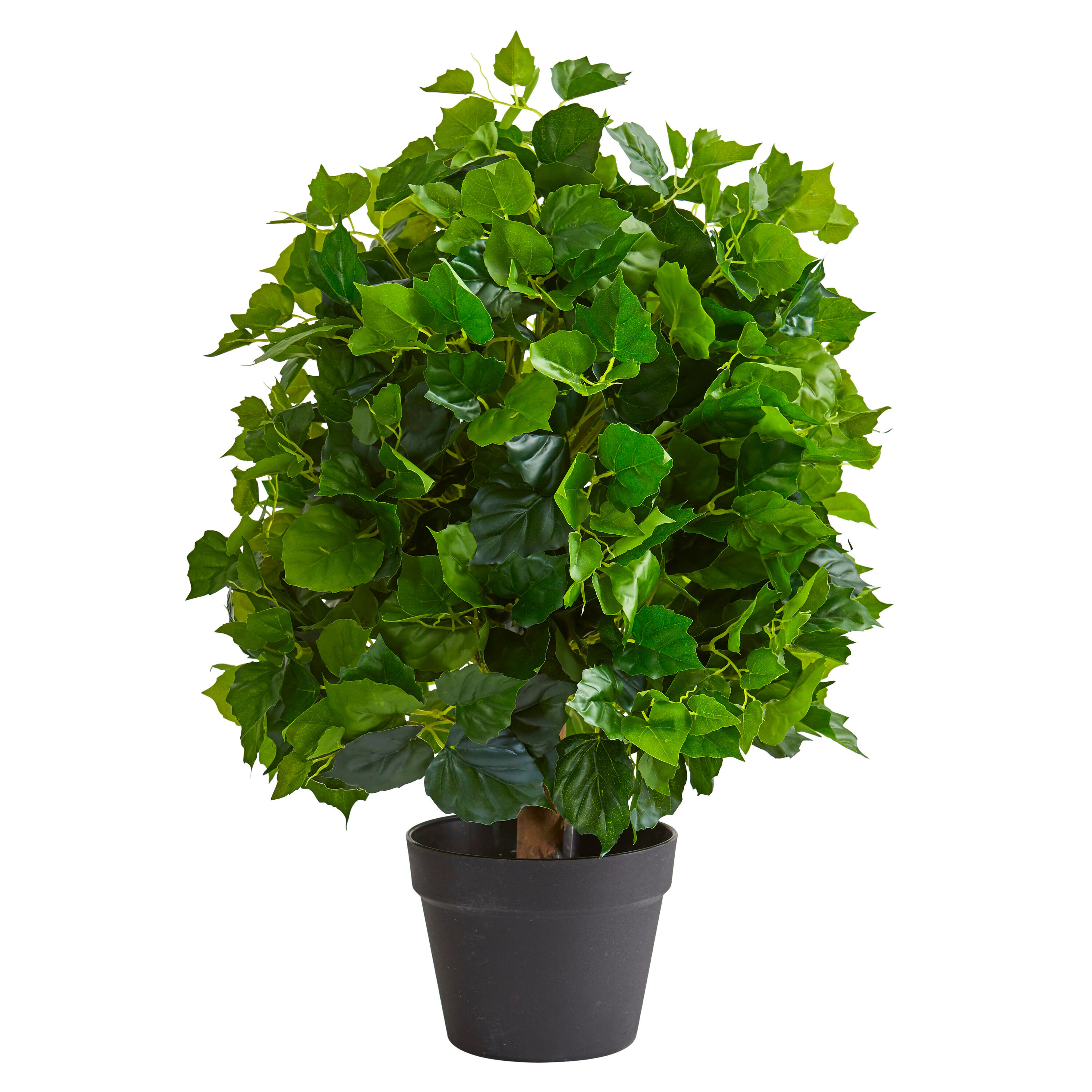 Nearly Natural 2-ft Ficus Artificial Tree one_size | 6411 | Lowe's