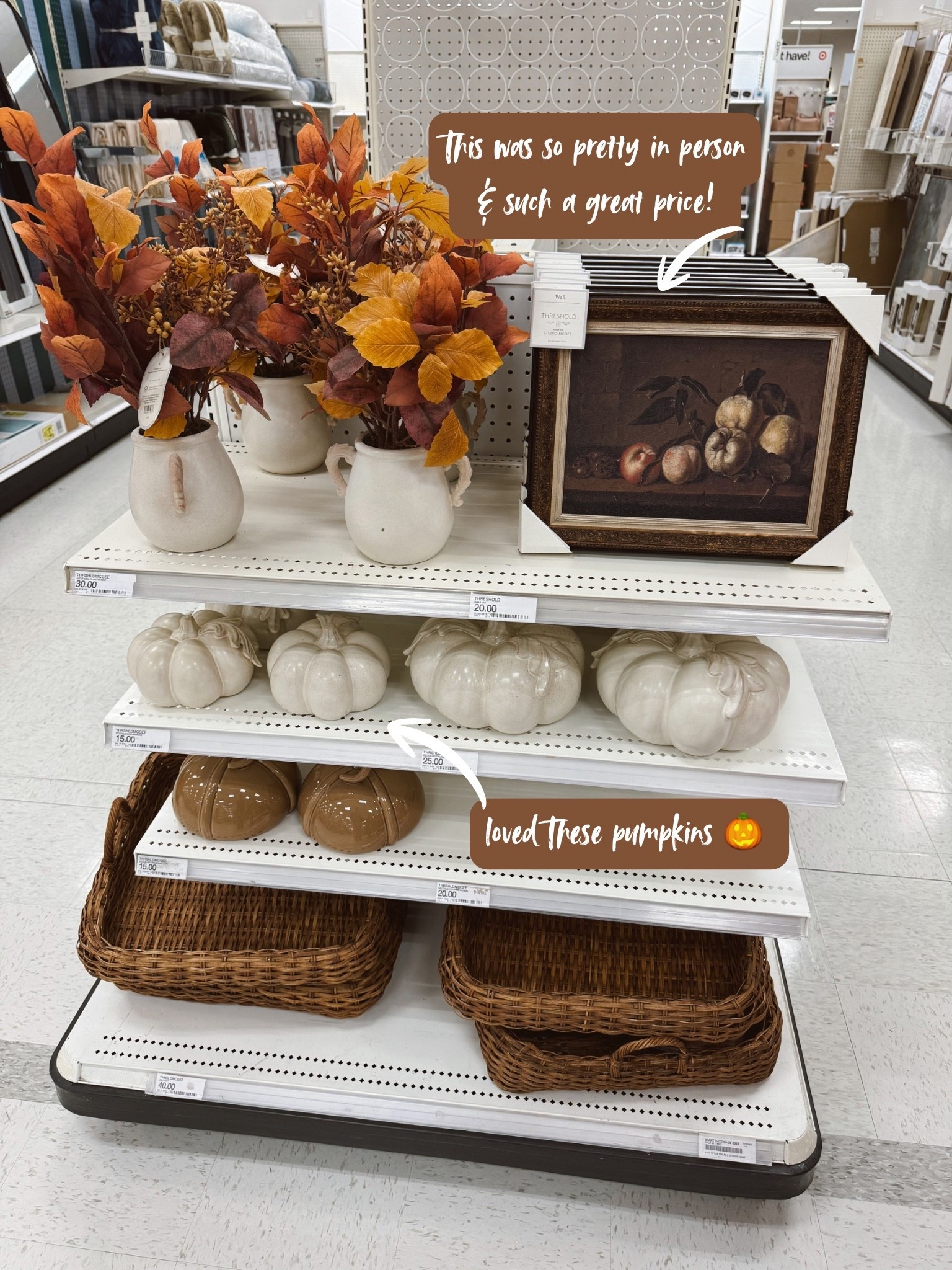 Some of these fall items really caught my eye especially the artwork 😍🤎 the price is amazing!

#LTKHome #LTKSeasonal #LTKU