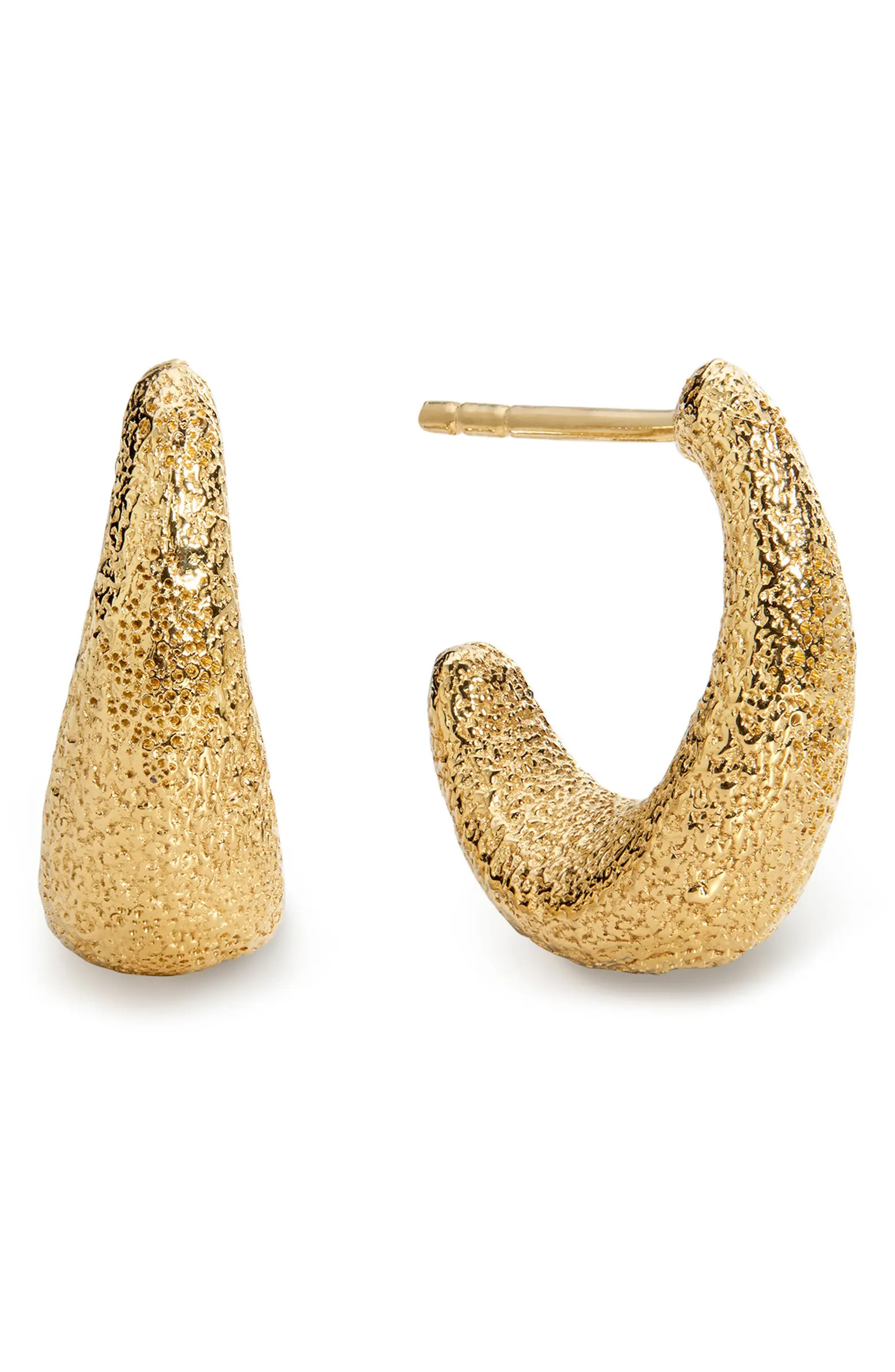 Small Antica Texture Hoop Earrings | Nordstrom