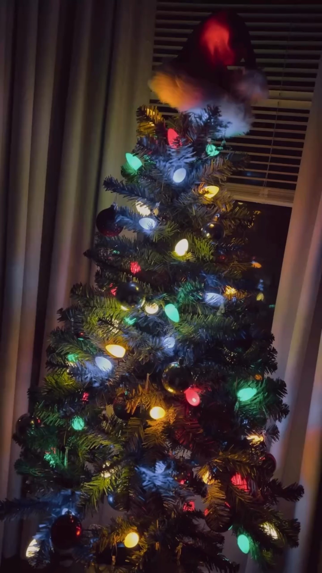 Cordie’s tree🎄

#christmas #christmastime #christmasmagic #toddlerroom #christmastree
