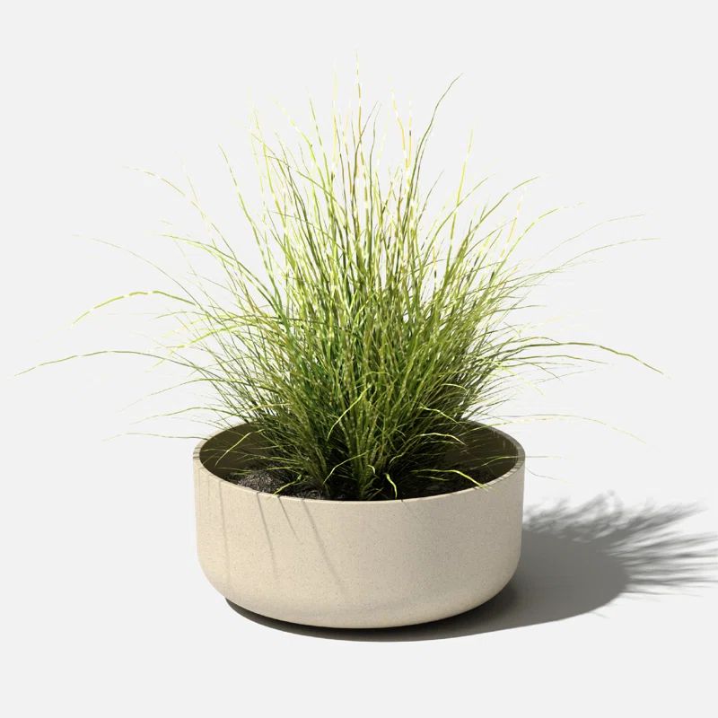 Mason Series Kona Bowl Planter | Wayfair North America