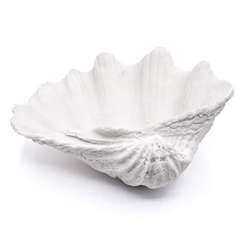 Seashell Decorative Bowl Clam Shell Bowl for Coastal Nautical Home,Beach Party Wedding Shell Deco... | Amazon (US)