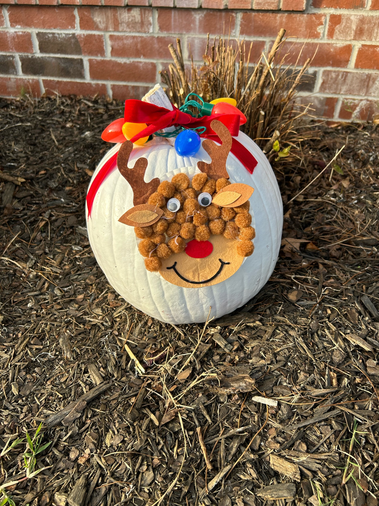 Reindeer Xmas Pumpkin ❤️🎄✨