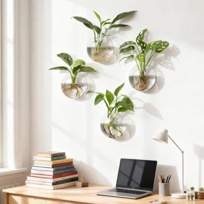4Pcs Wall Hanging Planter Propagation Stations Glass Terrariums Vase For Hydroponics Plants, Bathroom, Home Office Living Room Decor Gift | Wayfair North America