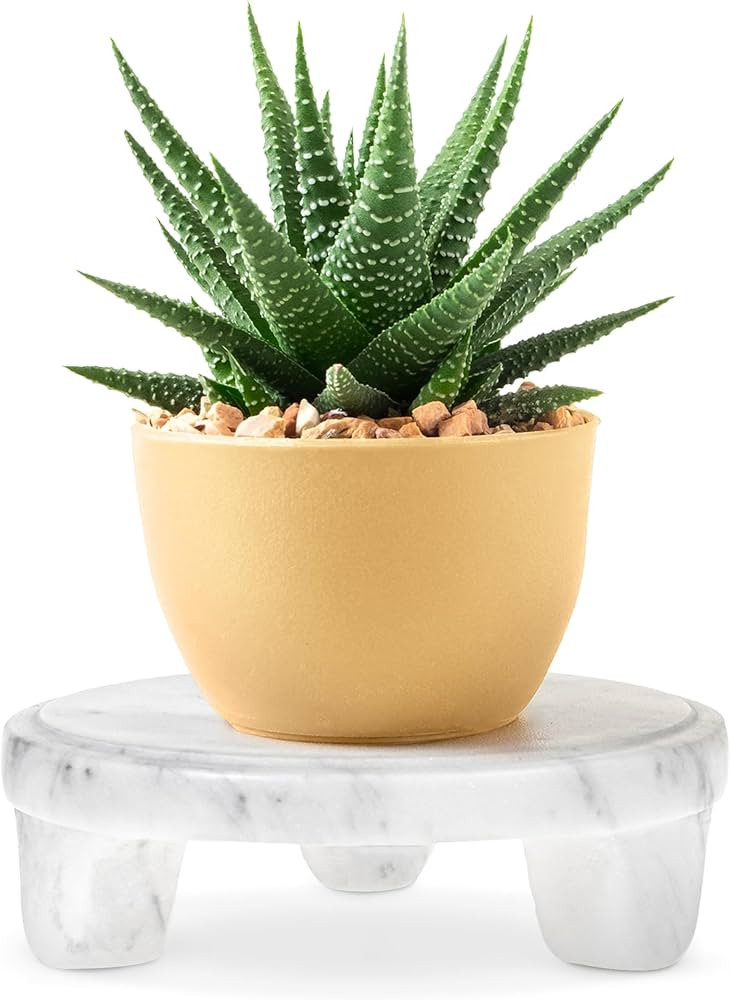 Amazon.com: STRONA 6" Round Marble Riser for Kitchen Counter Decor - Handcarved Marble Decor Pede... | Amazon (US)